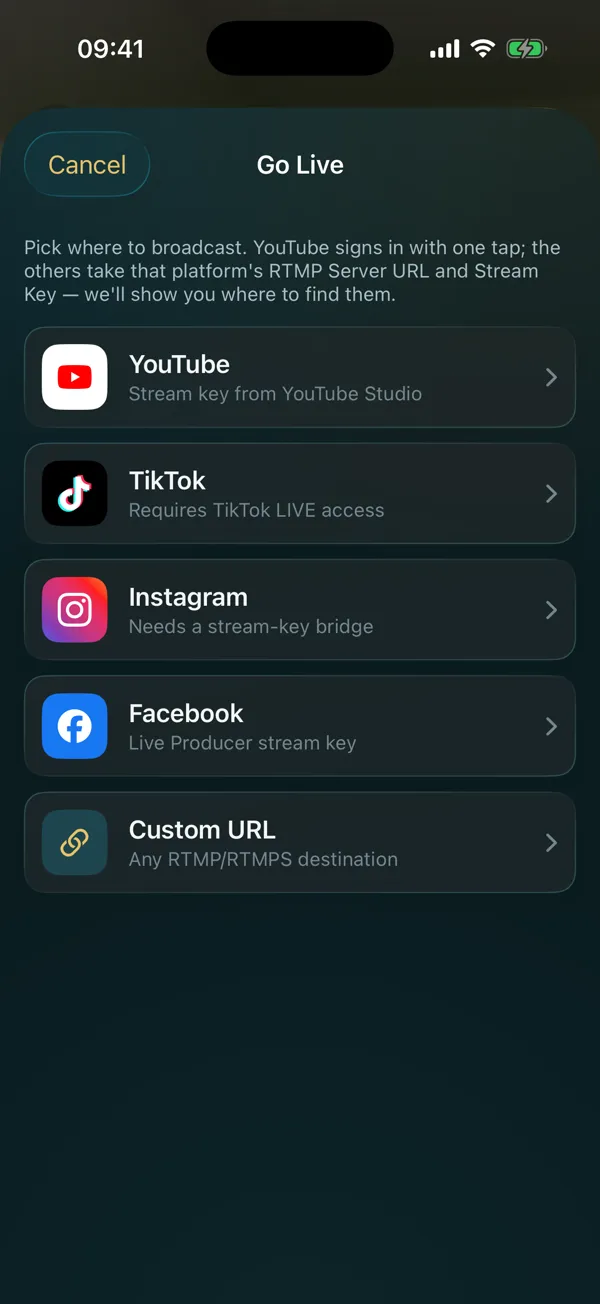 The Go Live sheet listing YouTube, TikTok, Instagram, Facebook and a custom RTMP URL