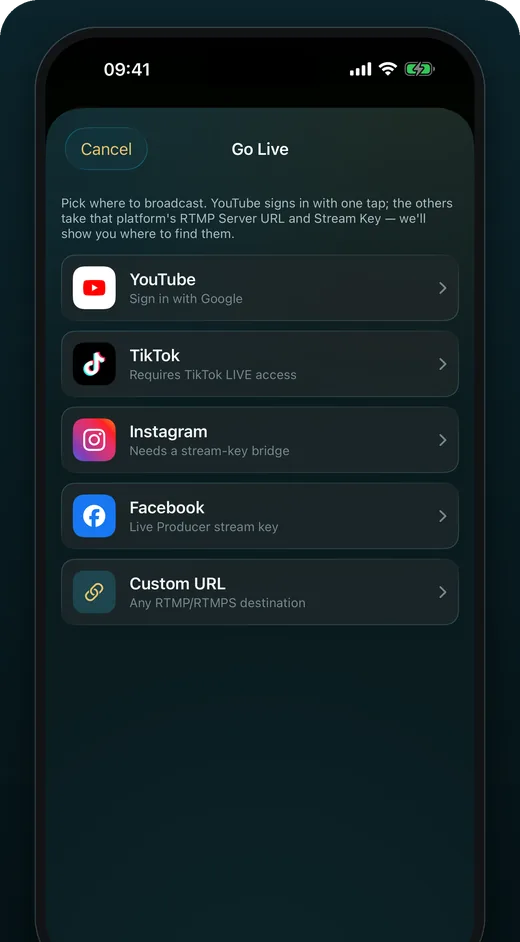 The Go Live sheet listing YouTube, TikTok, Instagram, Facebook and a custom RTMP URL